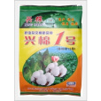 興棉1號 興棉1號