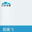 孤雁飛 孤雁飛