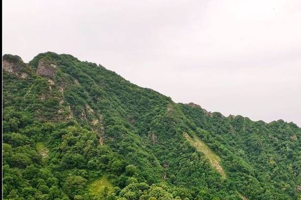 三岔嶺(吉林省長白山脈老爺嶺下的山脈) 三岔嶺(吉林省長白山脈老爺嶺下的山脈)