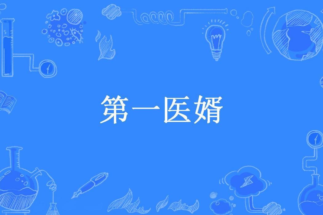 第一醫婿 第一醫婿