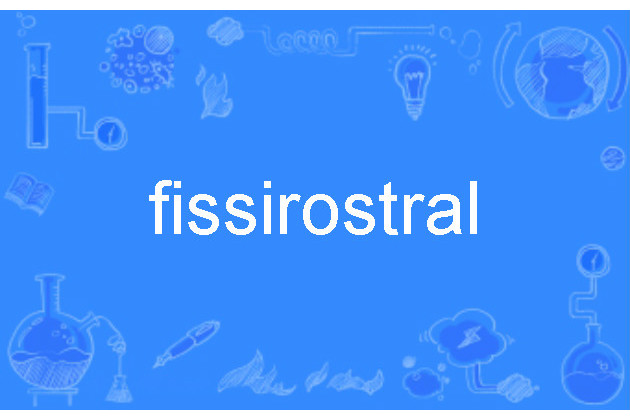 fissirostral fissirostral