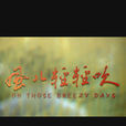 風兒輕輕吹(2004年周波導演大陸電影)