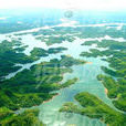 河南丹江濕地國家級自然保護區