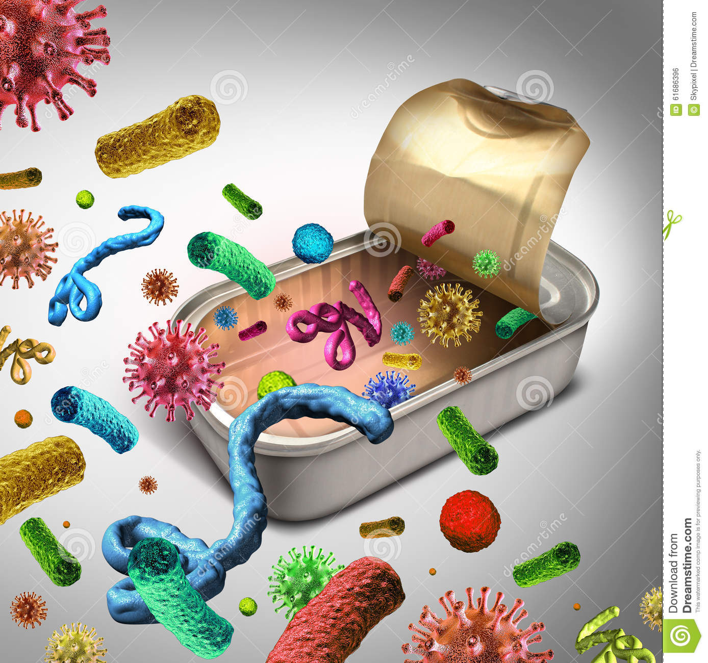 食品的細菌污染