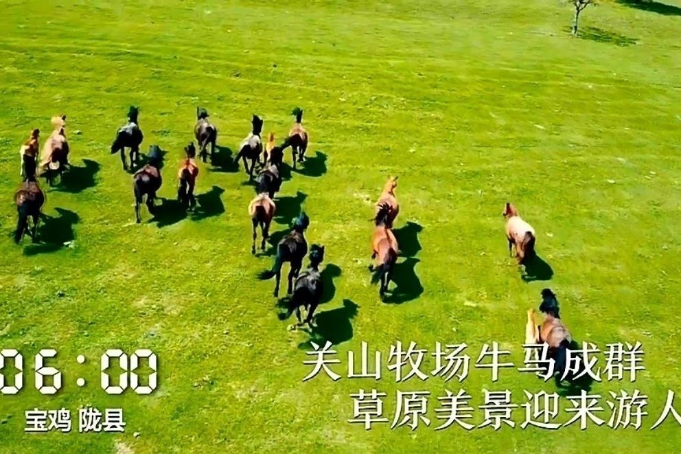 陝西24小時 陝西24小時