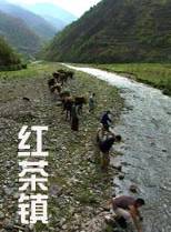 黃湄媚 黃湄媚