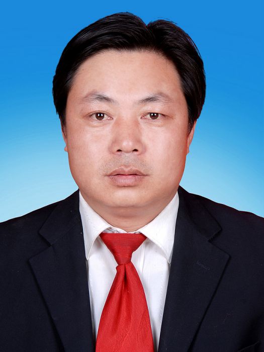 林澤(陝西省榆林市靖邊縣文化和旅遊文物廣電局黨組書記、局長) 林澤(陝西省榆林市靖邊縣文化和旅遊文物廣電局黨組書記、局長)