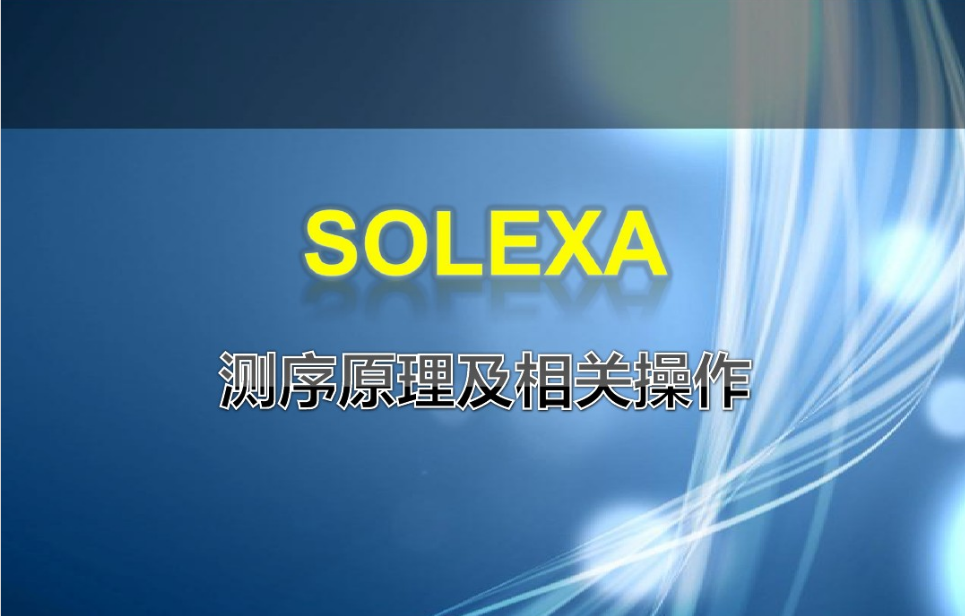 Solexa 測序系統