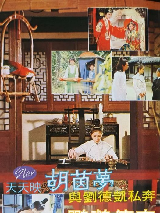 鸚鵡傳奇(1978年胡因夢主演的電影) 鸚鵡傳奇(1978年胡因夢主演的電影)