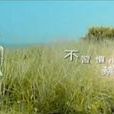 不習慣 不習慣