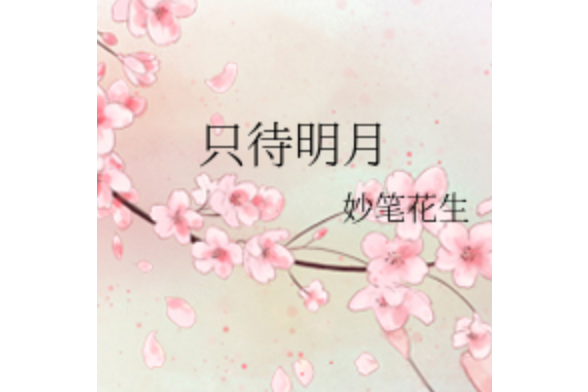 只待明月 只待明月