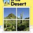 In the Desert In the Desert