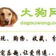 大狗網 大狗網