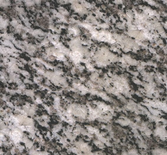 Persia Silver Grain Persia Silver Grain