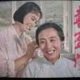 喜盈門(1981年上海人民美術出版社出版的圖書)