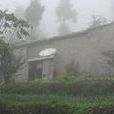 新發村(雲南省曲靖市馬龍縣大莊鄉新發村)