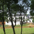 曾家坊村 曾家坊村