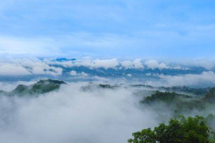 丹山雲海 丹山雲海