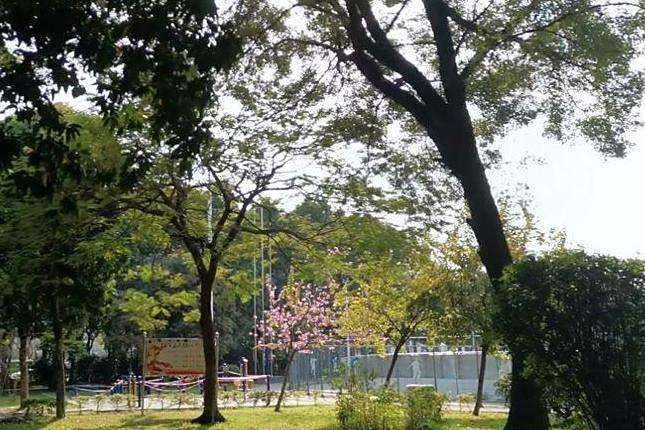 西麗公園