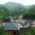 楊家頭村 楊家頭村