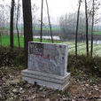 劉林遺址