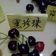 黑珍珠櫻桃 黑珍珠櫻桃