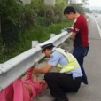 接生交警 接生交警