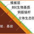 生態砼