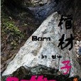 棺材子(河上) 棺材子(河上)