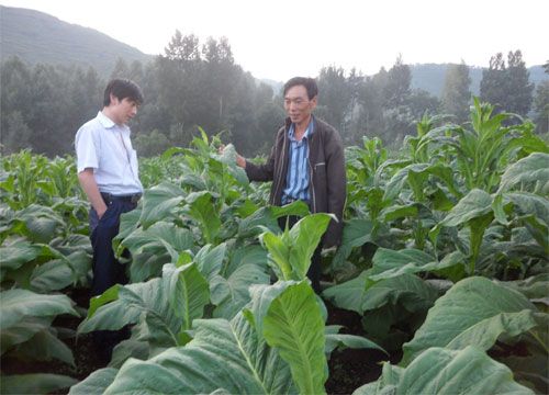 麻洞川鄉 麻洞川鄉