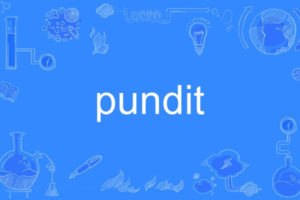 pundit pundit