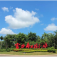 紅樹林(海南紅樹林濕地保護公園) 紅樹林(海南紅樹林濕地保護公園)