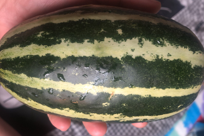 甜9號 甜9號