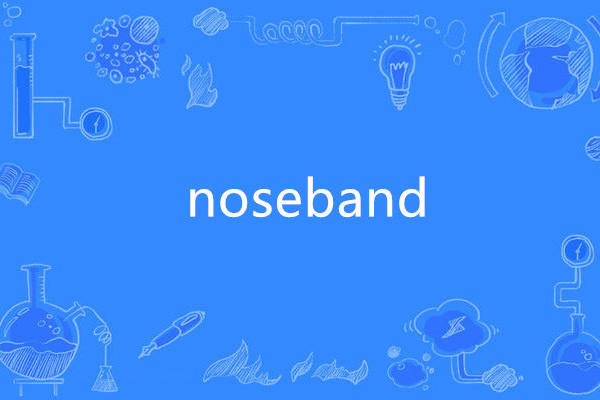 noseband noseband