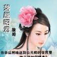 落雁昭君(網路小說) 落雁昭君(網路小說)