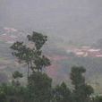 王寶石村 王寶石村
