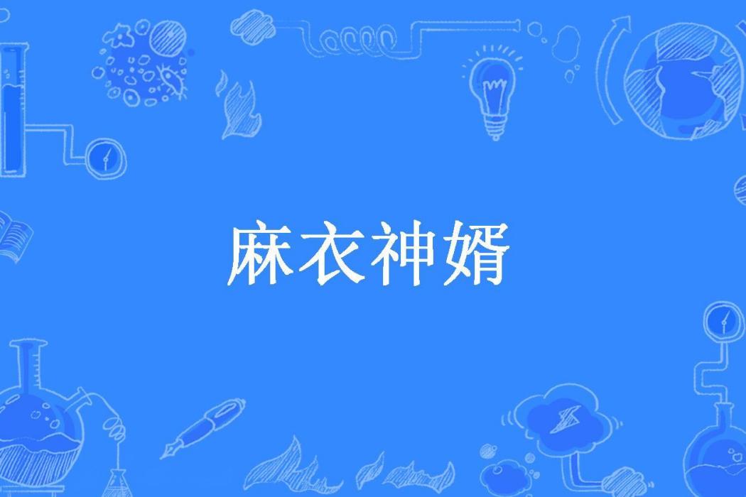 麻衣神婿(拎壺沖所著小說) 麻衣神婿(拎壺沖所著小說)