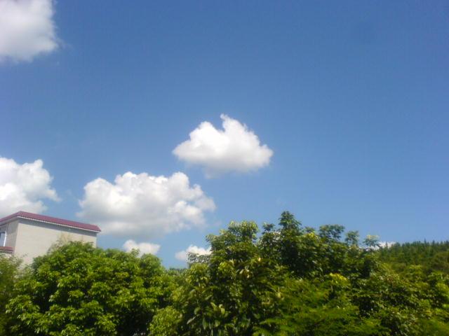 禹崗村 禹崗村