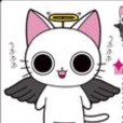 貓天使 貓天使
