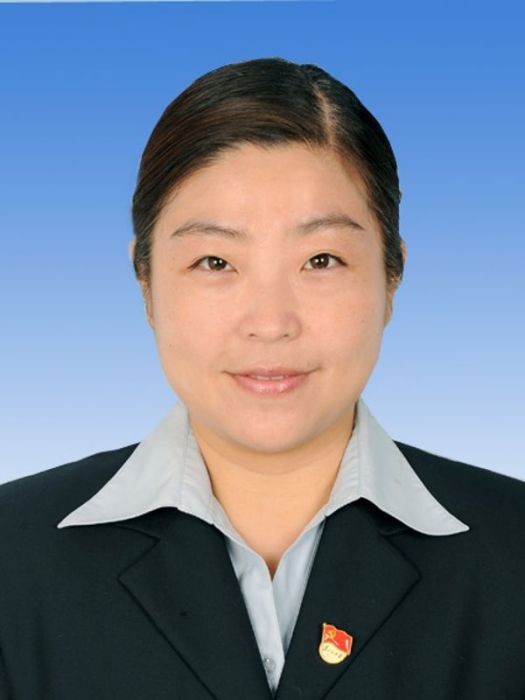 趙靜(北京市昌平區霍營街道工委副書記、辦事處主任) 趙靜(北京市昌平區霍營街道工委副書記、辦事處主任)