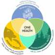 全健康(大健康(對One Health的一種譯法)) 全健康(大健康(對One Health的一種譯法))