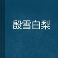 殷雪白梨 殷雪白梨