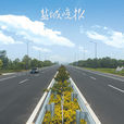 雙新大道 雙新大道