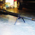 NTW-20狙擊步槍(NTW-20型20毫米大口徑狙擊步槍)
