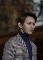 守護神之保險調查(守護神（2018年苗僑偉、黃宗澤、劉心悠主演的電視劇）)