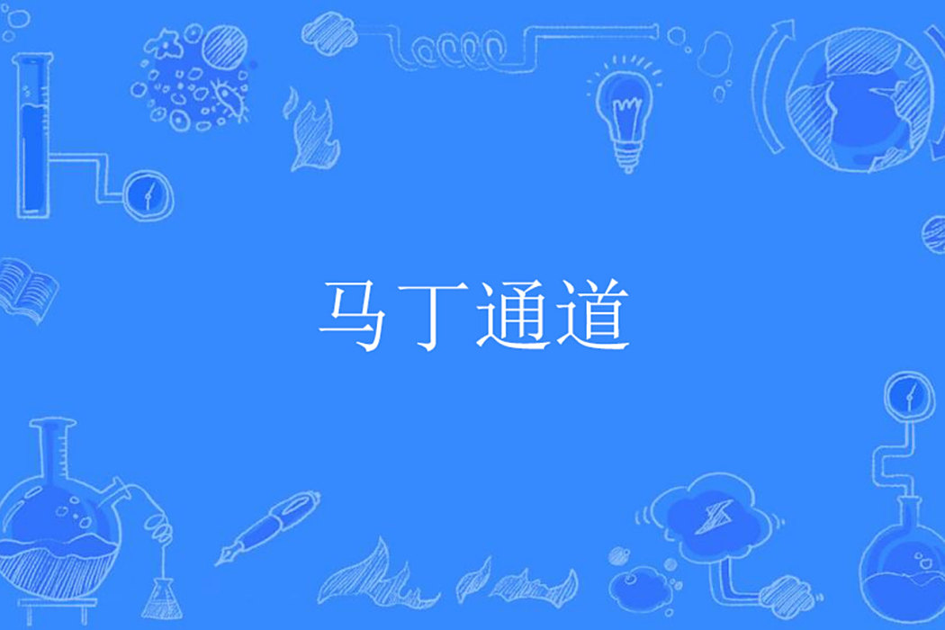 馬丁通道 馬丁通道