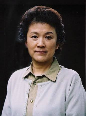 家變(2004年祝君、吳奈執導的家庭劇)