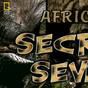 非洲七種神秘客