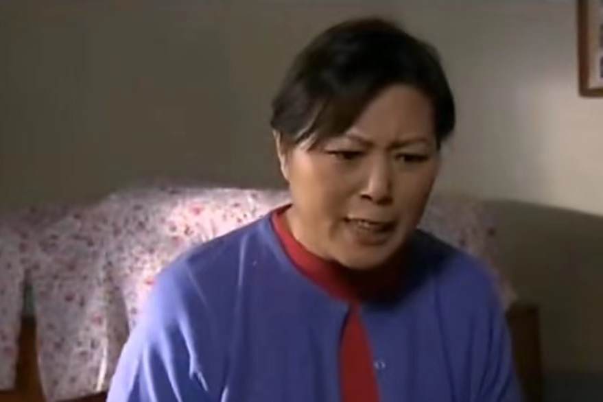 李美蓮(家庭喜劇《把日子過好》中的角色) 李美蓮(家庭喜劇《把日子過好》中的角色)