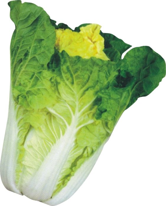天白56